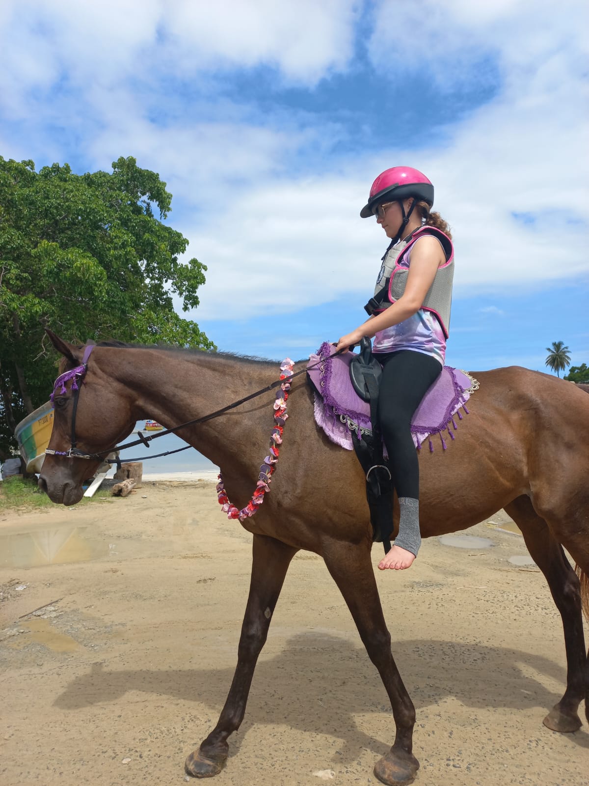 Horse Riding – Tobago