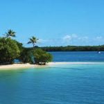 Snorkellers exploring colourful coral reefs at Buccoo Reef with clear blue waters and sunny skies.
