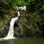 A cascading tropical waterfall surrounded by lush green rainforest.