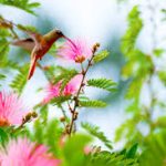 Tropical coastline with fishing boats and clear turquoise waters near a small village.