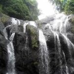 A person swimming in the refreshing Argyle Waterfall pool surrounded by tropical forest.